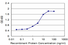 EDG1 Antibody in ELISA (ELISA)