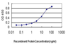 EDN3 Antibody in ELISA (ELISA)