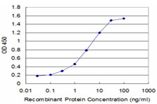 EDNRA Antibody in ELISA (ELISA)