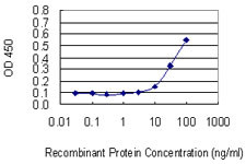 EIF2D Antibody in ELISA (ELISA)