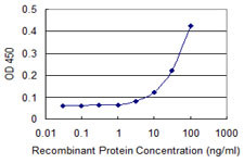 EFNA3 Antibody in ELISA (ELISA)