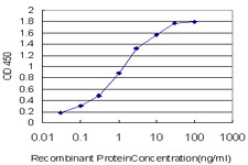 CELSR3 Antibody in ELISA (ELISA)