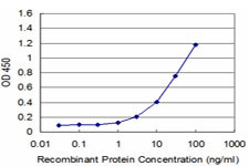 EGFR Antibody in ELISA (ELISA)