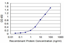 EGR1 Antibody in ELISA (ELISA)