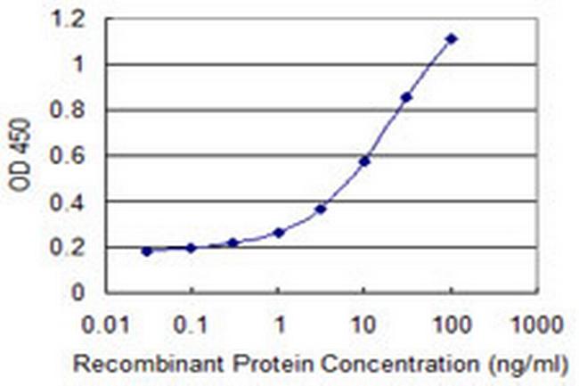 EIF2S3 Antibody in ELISA (ELISA)