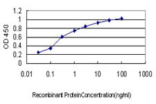 EPHA2 Antibody in ELISA (ELISA)