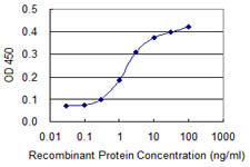 EIF4EBP1 Antibody in ELISA (ELISA)