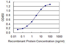 EIF4G1 Antibody in ELISA (ELISA)