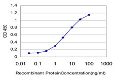 EIF4G1 Antibody in ELISA (ELISA)