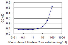 ELA1 Antibody in ELISA (ELISA)