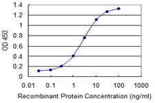 ELAVL1 Antibody in ELISA (ELISA)