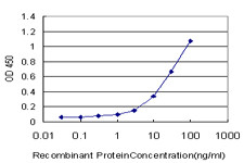 ELAVL4 Antibody in ELISA (ELISA)