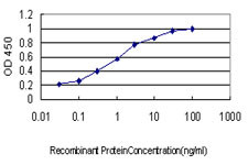 MARK2 Antibody in ELISA (ELISA)