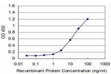 EN1 Antibody in ELISA (ELISA)