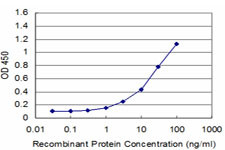 EN1 Antibody in ELISA (ELISA)