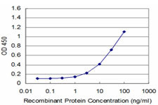 EN1 Antibody in ELISA (ELISA)