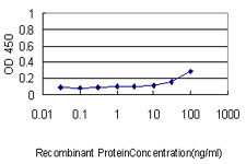 ENO1 Antibody in ELISA (ELISA)