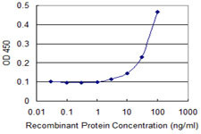 EPHB2 Antibody in ELISA (ELISA)