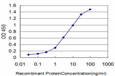 EPHB3 Antibody in ELISA (ELISA)