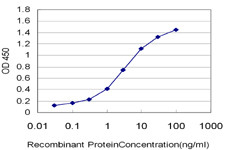 EPHB3 Antibody in ELISA (ELISA)