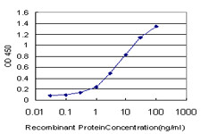 EPHB3 Antibody in ELISA (ELISA)