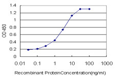 EPHB3 Antibody in ELISA (ELISA)