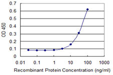 ERBB2 Antibody in ELISA (ELISA)