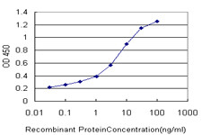 ERN1 Antibody in ELISA (ELISA)