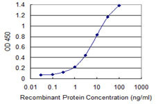 ETV4 Antibody in ELISA (ELISA)