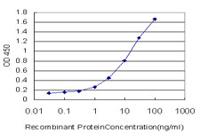 ETV5 Antibody in ELISA (ELISA)