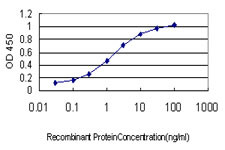 MECOM Antibody in ELISA (ELISA)