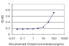 EXT1 Antibody in ELISA (ELISA)