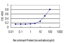 F11 Antibody in ELISA (ELISA)