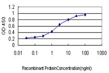 F12 Antibody in ELISA (ELISA)