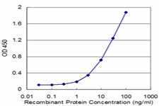 FAAH Antibody in ELISA (ELISA)