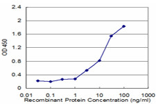 FAAH Antibody in ELISA (ELISA)