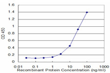 FABP4 Antibody in ELISA (ELISA)