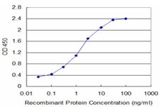 FABP6 Antibody in ELISA (ELISA)