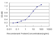 ACSL1 Antibody in ELISA (ELISA)