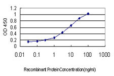 PTK2B Antibody in ELISA (ELISA)