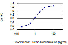 PTK2B Antibody in ELISA (ELISA)