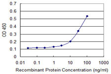 FAP Antibody in ELISA (ELISA)