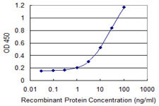 FBN1 Antibody in ELISA (ELISA)