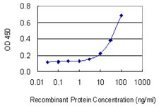 FCER1A Antibody in ELISA (ELISA)