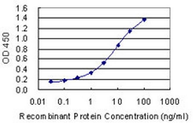 FECH Antibody in ELISA (ELISA)