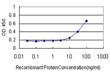 FGF1 Antibody in ELISA (ELISA)