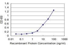 FGF8 Antibody in ELISA (ELISA)