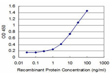 FGF8 Antibody in ELISA (ELISA)