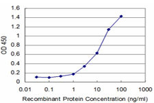 FGF8 Antibody in ELISA (ELISA)