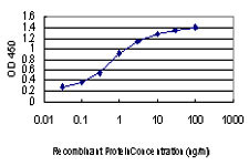 FGFR2 Antibody in ELISA (ELISA)